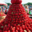 В Петербурге пройдет Фестиваль клубники и фермерских продуктов - Fiesta.Ru