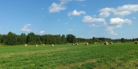Жара продержится в Нижнем Новгороде до следующих выходных - Время Н