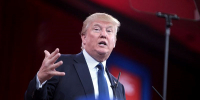 Трамп заявил о готовности наказать Канаду за смог от пожаров - ИА Общественная служба новостей