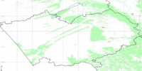 Лесных пожаров не зафиксировано на 03.08.2026 (оперативные данные) - Минприроды Алтайского края