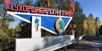 Сельчанку в Бурятии цапнула соседская пчела - ИА Байкал-Daily