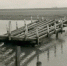 Реки встали на дыбы: амурчанам показали фотографии наводнений 1950-х годов (ФОТО) - Asn24.Ru