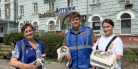 Безопасность и память: как в Железнодорожном районе прошли профилактические акции - Администрация г. Барнаул