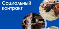 375 социальных контрактов заключили в Ставрополе с начала года. - Администрация Ставрополя
