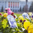 Фото: ПАИ - InformPskov.Ru