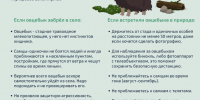 В Якутии разработали памятку безопасности при встрече с овцебыками - Якутское-Cаха ИА