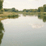 Первоисточник - Syktyvkar.1istochnik.Ru