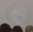 Кировчан приглашают на бесплатные кинопоказы отечественных картин - ГТРК Вятка