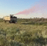 В Кизлярском районе Дагестана своевременно выявлена крупная стая азиатской саранчи - Махачкалинские известия