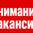 Внимание, вакансия! - Сетевое издание Ufaved.Info