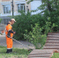 Скос травы тг-канал городской администрации - ChitaMedia