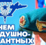 Поздравление с Днем Воздушно-десантных войск. - Знаменский район