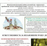 10484d7b-0a1f-4aee-99b8-6a7a0bd65147.jpg - Киренский район