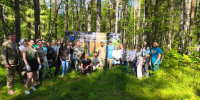 40 кубометров мусора убрали из леса во Всеволожском районе - Комитет по природным ресурсам