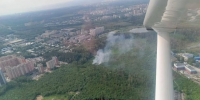 В Подмосковье рассказали о лесопожарной обстановке - MosRegToday.Ru