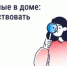 Борьба с насекомыми в многоквартирном доме - Министерство цифрового развития, информационных технологий и связи