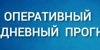 Оперативный ежедневный прогноз чрезвычайных ситуаций  на территории Новосибирской области на 02.08.2026 г. - Купинский район