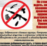 jsdfnjksnjnxcnvnnvnvnnn23.jpeg - Администрация МР Кизлярского