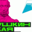 Реализация проекта «Пушкинская карта» продолжается в рамках нацпроекта «Семья» - Дюртюлинский район