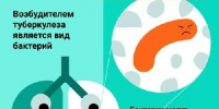 Первые признаки туберкулеза: не игнорируйте симптомы! - Администрация г. Кызыл