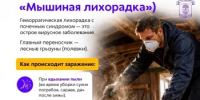 Летний отдых без неприятных сюрпризов: защищаем себя от ГЛПС - Бурзянский район