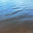 водоем - Петрозаводск говорит