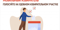 В центрах «Мои Документы» Воронежской области стартовал прием заявлений о голосовании по месту нахождения - МФЦ