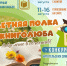 Лови книжное лето в объектив! - Библиотеки Миасса