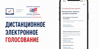 - Стартовал приём заявлений на дистанционное электронное голосование через «Госуслуги»:  Выборы-2026 - Газета Грани