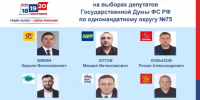 Шесть кандидатов претендуют на пост депутата Госдумы от Амурской области - ИА Порт Амур
