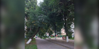 В Брянске возле бассейна «Динамо» на детскую площадку едва не рухнуло дерево - БрянскToday.Ru