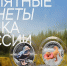 Фото: МАКС-канал Центрального Банка РФ - НИА-Кубань