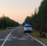 В Ижемском районе пьяный мужчина на электровелосипеде не удержался на дороге - Bnkomi.Ru