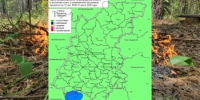 Сводка пожароопасности на 31.07.2026 - Министерство лесного хозяйства