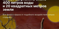 Куда сдавать опасные бытовые отходы - Государственная жилинспекция