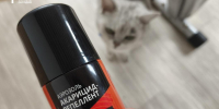Фото Евгении Ноговициной - Tumentoday.Ru