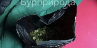 В Бурятии жительницу Омской области поймали за сбором сагаан дали - Газета Номер один