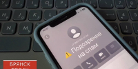 Брянцы лишились более миллиона рублей на сайтах объявлений - БрянскToday.Ru