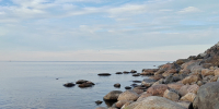 Александр Дрозденко объяснил причины низкого уровня воды в Ладоге - Всеволожские вести онлайн