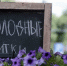 В Воронежской области объявили штормовое предупреждение о жаре до +35 градусов - РИА Воронеж