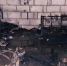пожар в Рязанской области - РИА 7 Новостей