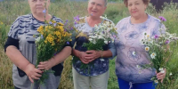 ЛЕТО В КАЖДОЙ ТРАВИНКЕ - Библиотека им. В.В. Вересаева