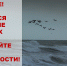 Внимание! Ожидается ухудшение погодных условий: сильный дождь с грозой, градом и усилением ветра до 20 м/с - Город-герой Новороcсийск