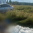 Нижегородец разбился при прыжке с парашютом в День ВДВ в Подмосковье - Сетевое издание Живем в Нижнем