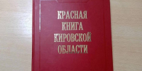 Новая Красная книга позволит сохранить уникальные виды кировской живой природы 4 Новая Красная книга позволит сохранить уникальные виды кировской живой природы - VyatkaKirov.Ru