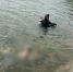 Тело мужчины обнаружили в водоеме Брянской области - Сетевое издание Новости Брянска