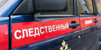 В Южноуральске мужчине предъявили обвинение в убийстве отца - Агентство новостей Доступ