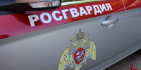 В Череповце задержали нетрезвого правонарушителя - Росгвардия