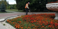 Курск превращается в город цветов. - Город Курск