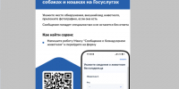 Отлов безнадзорных животных. - Звериноголовский муниципальный округ